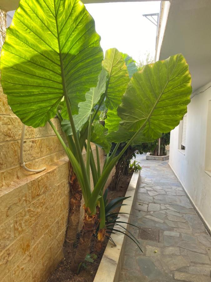 Little Cottage Athens Ngoại thất bức ảnh